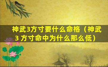 神武3方寸要什么命格（神武3 方寸命中为什么那么低）